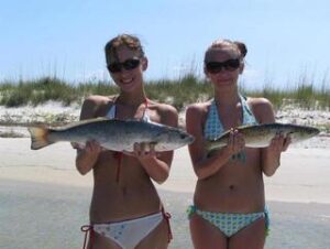 Carolina rigs make live bait fishing easy