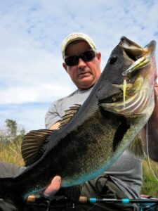 Myth BUSTED!  Livetarget’s Baitball DOES catch fish!