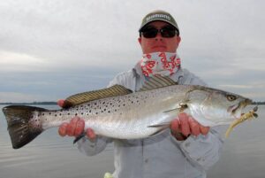 Accept no substitute!  The Mosquito Lagoon, FL Speckled Trout