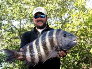 Chris Wiggins with a 12.9 lb sheepshead caught in Tampa Bay