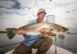 Capt. Justin Price’s big belly speckled Trout in the Mosquito Lagoon.