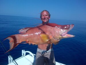 Bringing home the bacon!  Monster Hogfish nabbed by Jason, Eric and Logan