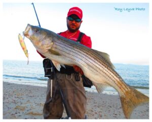 Roy Leyva and Shimano are hitting the Striper with Sore Lips!