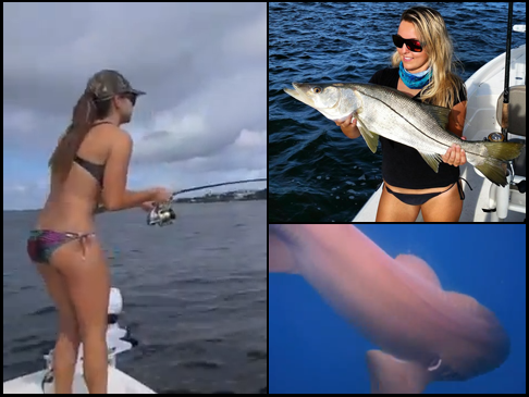 fishing decals