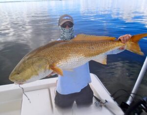 The Redfish are HOWLING!