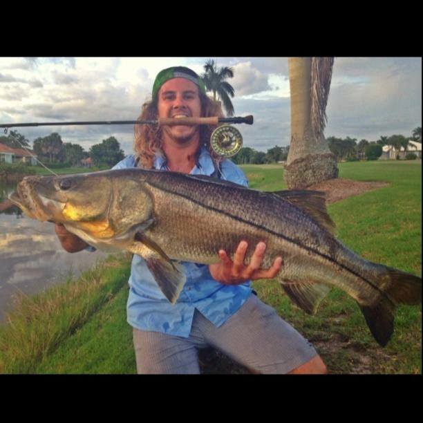 Surprise Snook on the 9wt