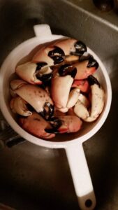 How to Harvest Stone Crab video! Tips and Tricks on the Florida Recreational Stone Crab season!