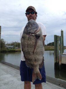 Dave Walker takes the Delaware State Record with 17 lb. Sheepshead
