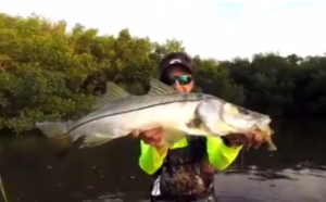 Snook, Redfish and Trout Fishing in Tampa with Tyler St. Philip