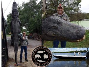 Capt. Billy Henderson brings client to Trophy Alligator Hunting