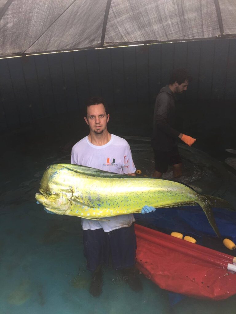 miami mahi fishing