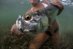 Florida Fishing Secrets