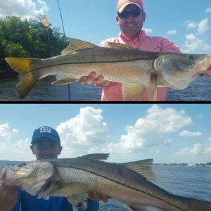 Sweet snook from @re…