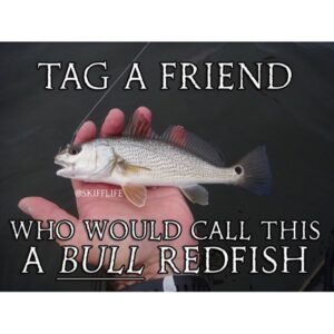 Tag that friend! #sk…