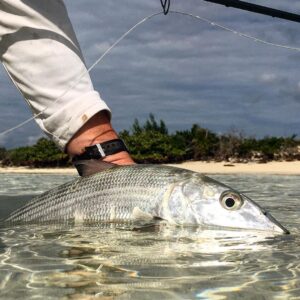 Fly fishing by your self on the flats, is very rewarding when it all comes toget…