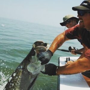 Georgia Tarpon caught with #georgiasportfishing charters with Capt Richie Lott a…