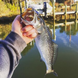 #trout #speckledtrout #creek #skifflife #keeper…