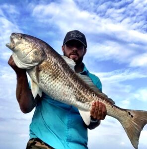 42.5″ Bull.  #costa #skifflife #fishing #fish #Galveston #redfish #reddrum #bull…