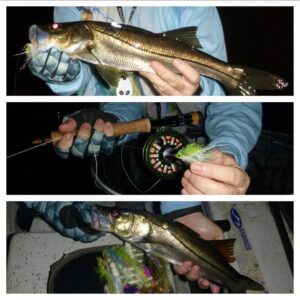 Mick Coulas night night fly fishing for snook in Venice, Florida on his skiff.
…