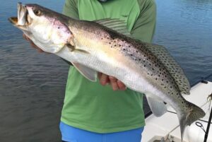 Seatrout Secrets by Skiff Life