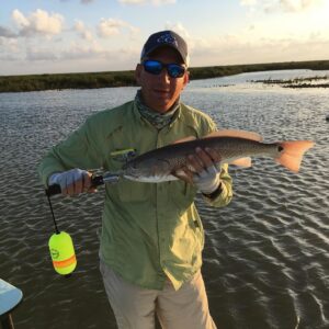 Limit of Speckled Trout and a hard fighting Redfish in  today. This place takes …