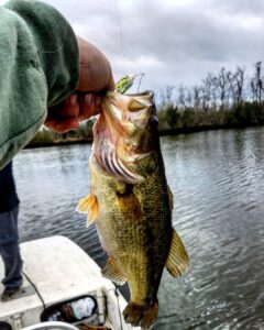 Carolina Skiff – My second biggest  ever! This fat girl is already spawnning, and its only Februa…
