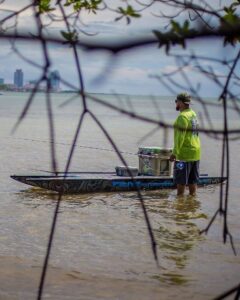 Pestering some local Miami bonefish  …
