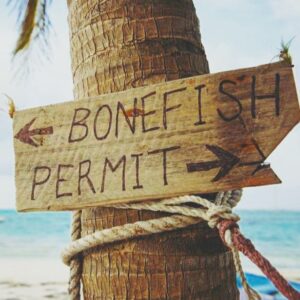 Hey guys! Which direction you going?? Bonefish or Permit? –
–

        …
