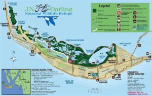 We officially have our permits to run charters in Ding Darling Wildlife Refuge! …