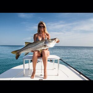 Great Snook shot from @langtown
