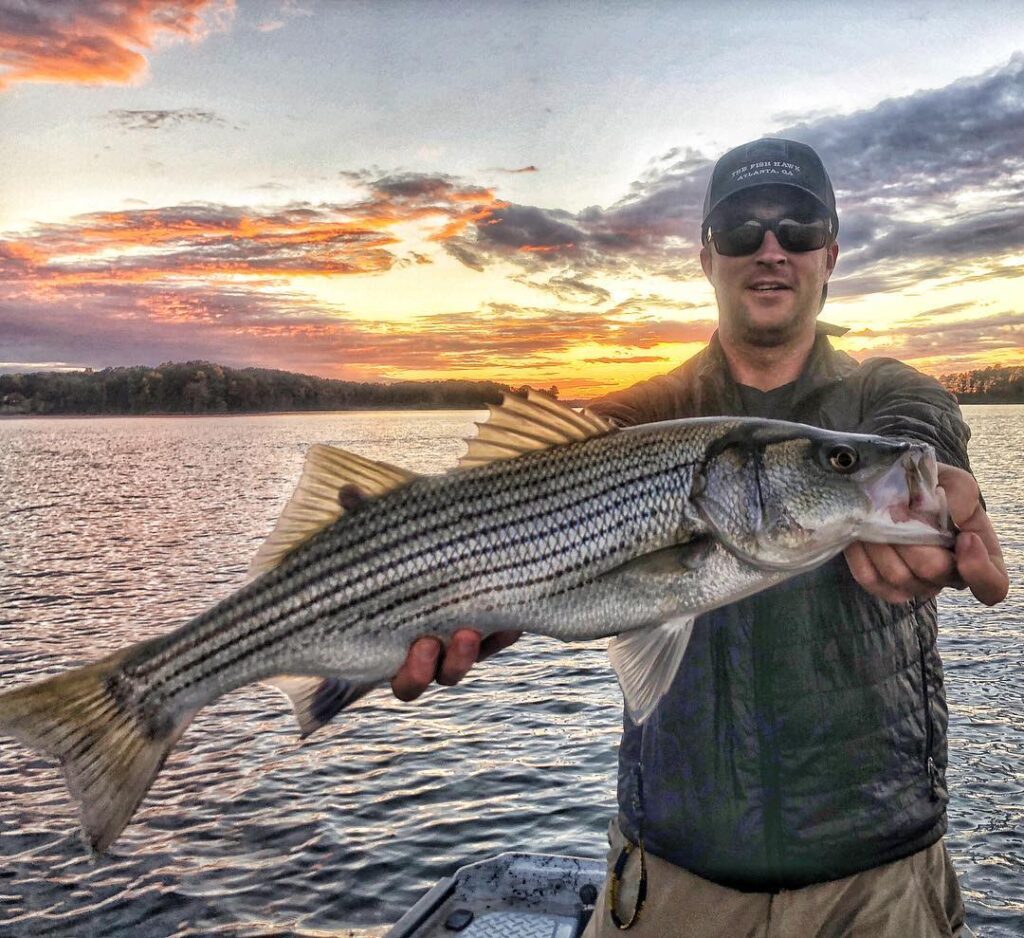 We found ‘em tonight, Spots and stripes! .
.
.
.