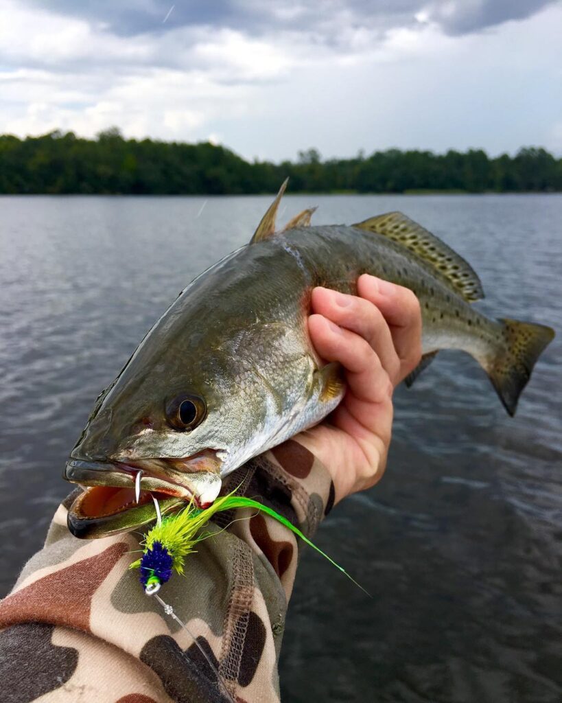 Deer hair finger mullets for the win! Couldnt keep them off yesterday.