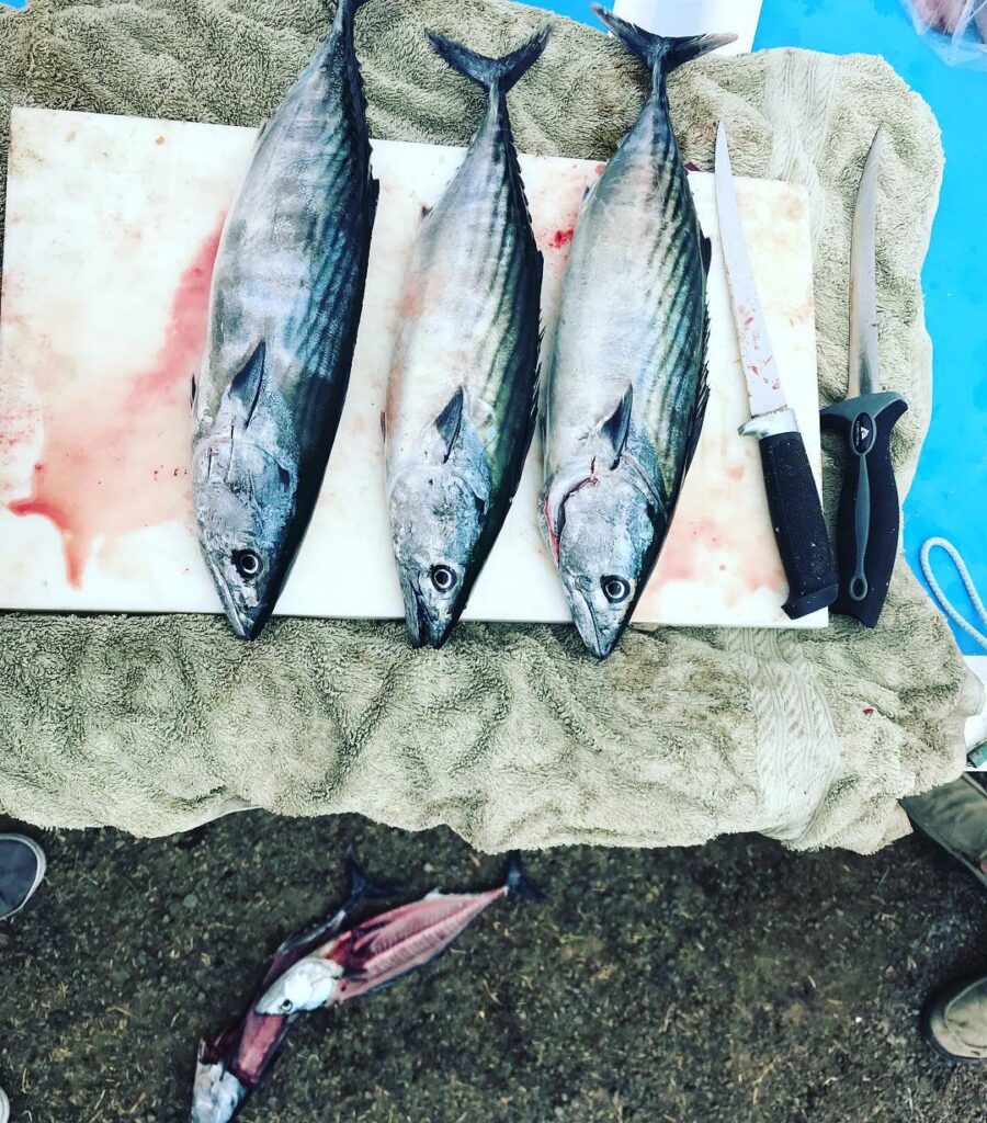 Early morning limits of aboard the Ol’ Skiff. These guys can rip some drag
.
.