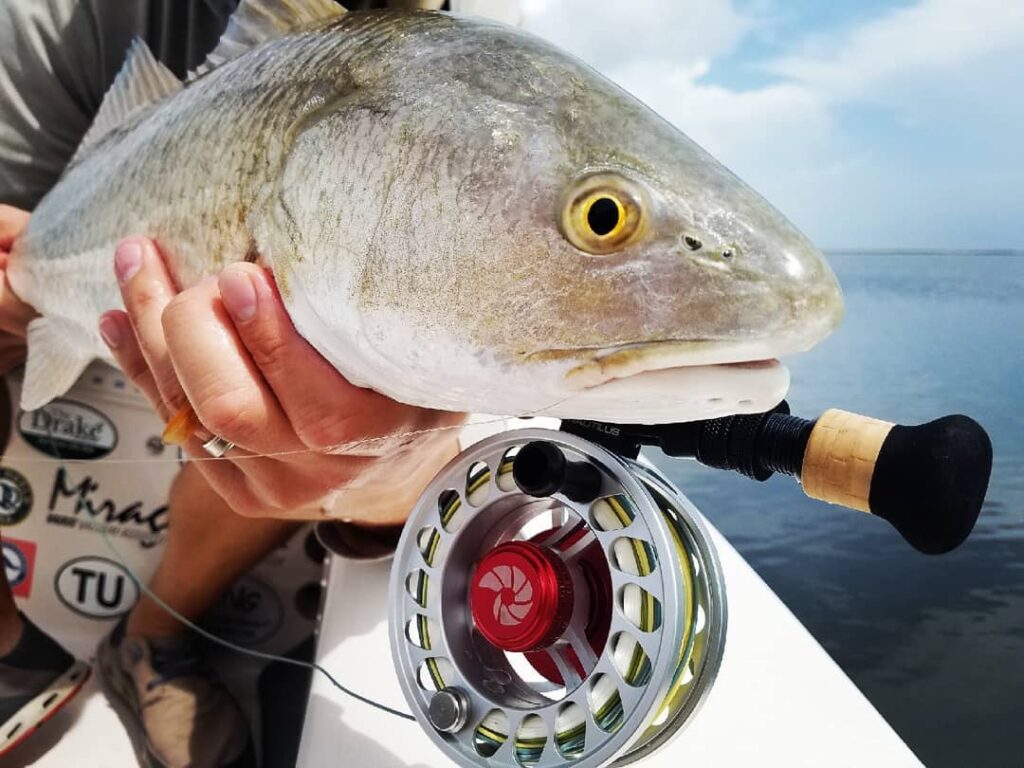 Hope everyone's fishing was as hot as the weather this weekend! .
.
.
.
.
.