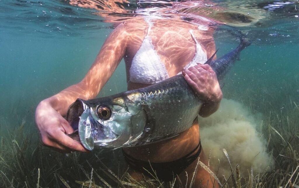 Tarpon Tuesday Love the clear water and healthy sea grass.