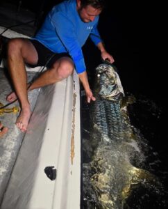 @thafish_ sheesh! 73” tarpon sure put up quite the fight!
DM / tag us in your pi…