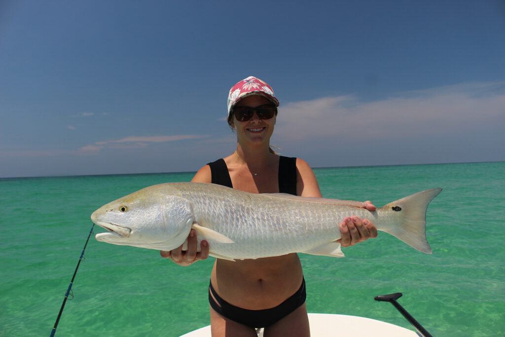 Found us a school of redfish Saturday. Waking up at 5am and getting completely s