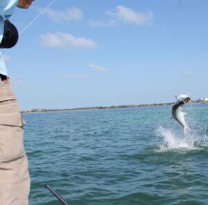 @saltychris.tex hunting tarpon down in the Florida Keys!
DM / tag us in your pic…