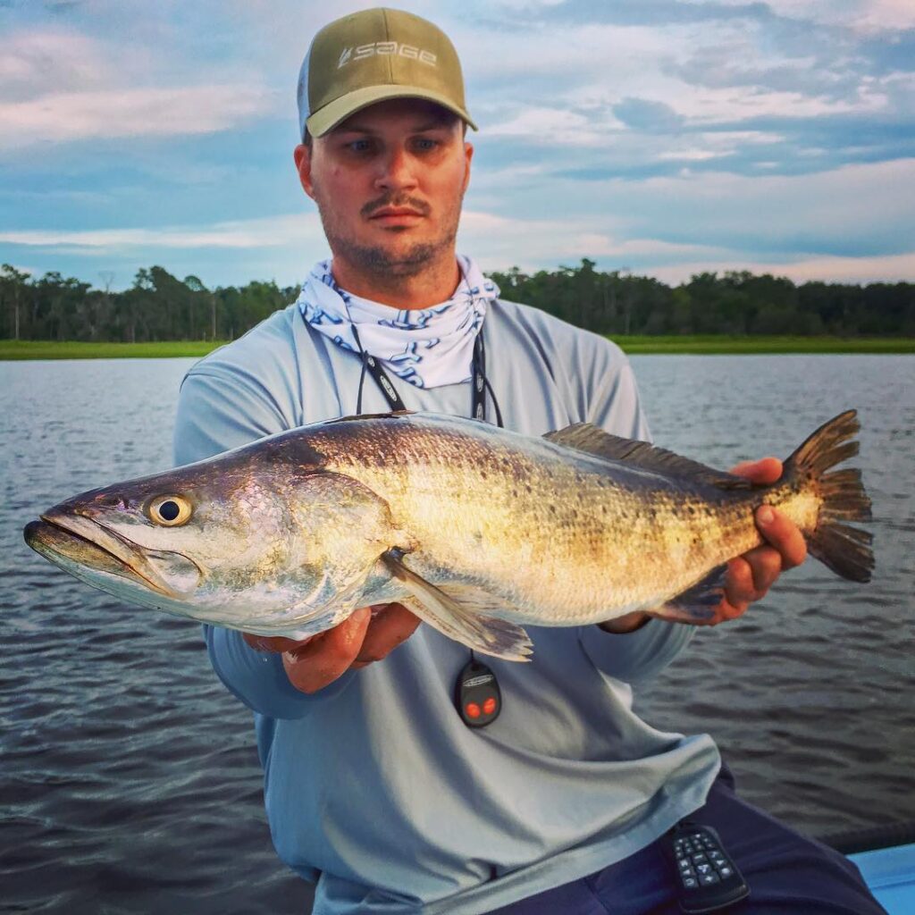 Who would like to land a trout this size?
landed this fat girl last night duri