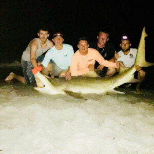 A stingrays worst nightmare, caught this 8’0 lemon shark after it picked it up d