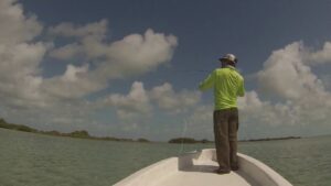 Bonefish 101
Learn to cast your damn fly rod into the wind
Strip set
Fight the f