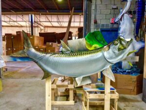 Tarpon season looks like it’s underway!!! Be sure to ask your Captain/Mate how t