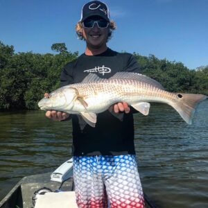 The fins on this redfish .
.
.
.
.
.
.
.
.
.
.