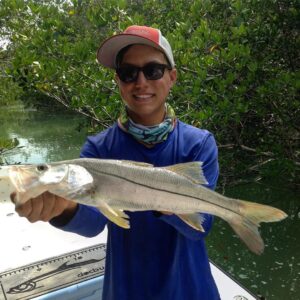 Beautiful clean  snook today pitching a  in the   on the   hook
–
–
–
–