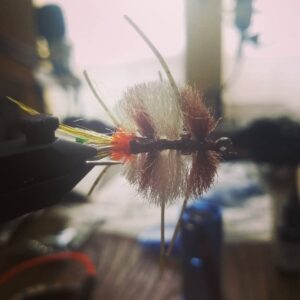 Tying some quick and dirty crabs for redfish at the podcasting table. Tying crab