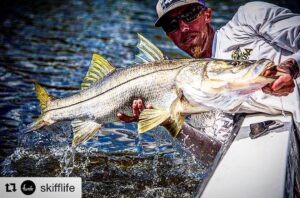 with 
・・・
 awesome snook!
Click the link in our bio to get your Skifflife merc