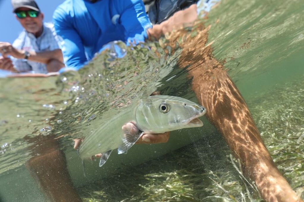 A new week can only mean one thing! Time to plan another day of fishing!
.
.