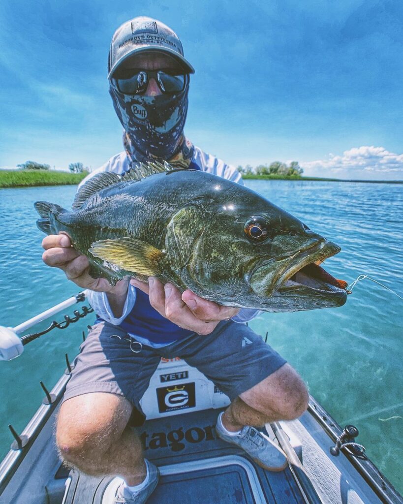 When smallies behave like trout .
.
.
.
.
.
.
.