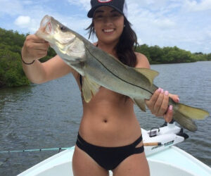 Insider Tip: What, Where, When to catch fish in SW Florida