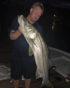 Some crazy snook action from Tampa, FL! Comment your record snook  @bigblondie81…